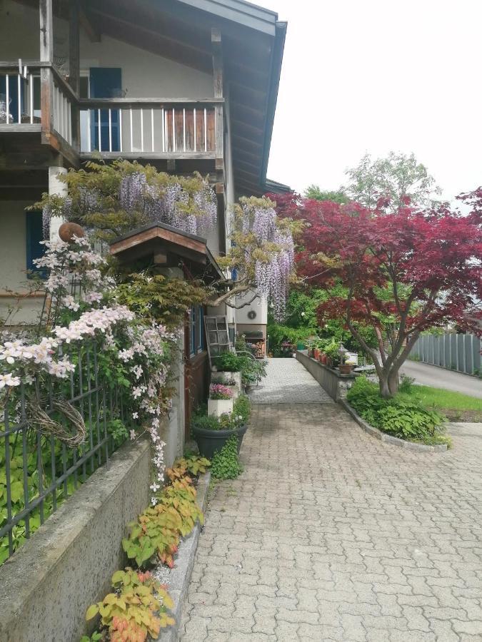 Ferienwohnung Am Rhein Koblach Exteriör bild