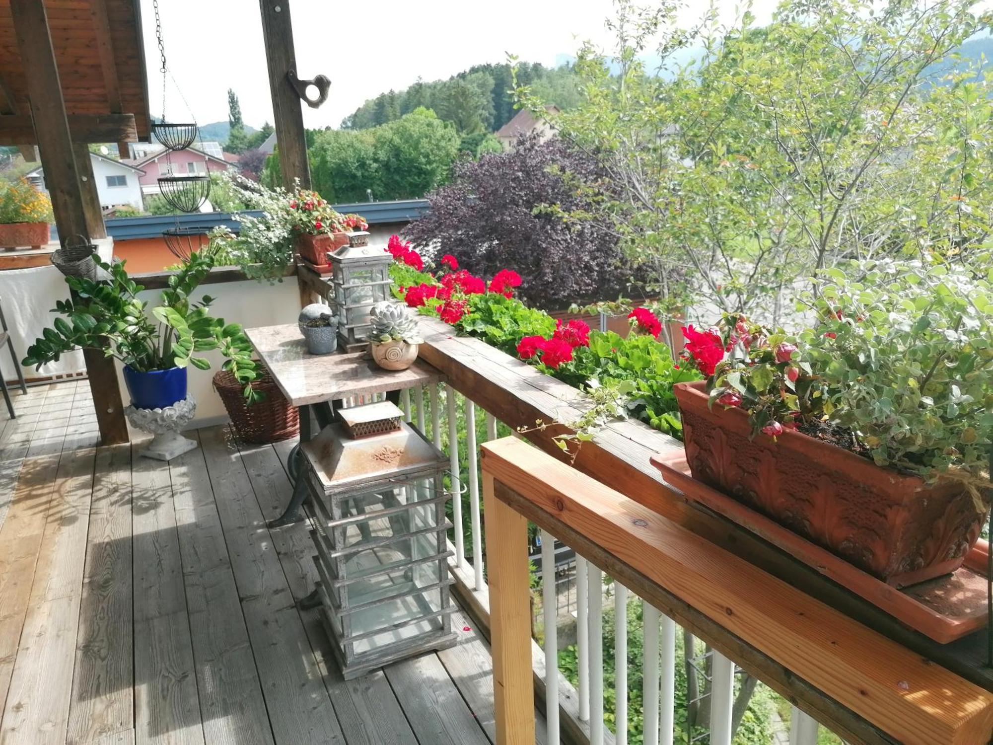 Ferienwohnung Am Rhein Koblach Exteriör bild